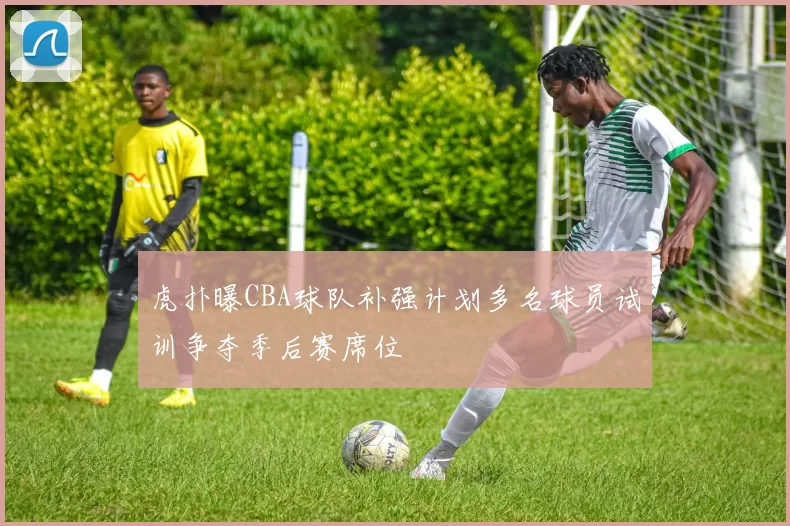 虎扑曝CBA球队补强计划多名球员试训争夺季后赛席位