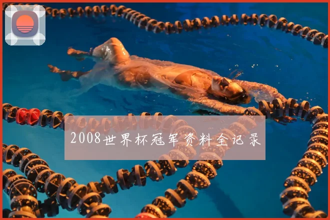 2008世界杯冠军资料全记录